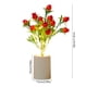 thumbnail image 3 of Lámpara de Noche Qazbgdl con Forma de Fruta Simulada | Lámpara de Noche Led con Maceta | Decoración Creativa para Dormitorio y Escritorio | 1 Pieza, 3 of 6