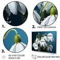 thumbnail image 3 of Designart "Snowdrop Winter Photography III" Snowdrops Floater Framed Canvas Prints, 3 of 5