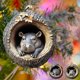 thumbnail image 1 of Adornos navideños con animales Adornos acrílicos con estampado de animales para el árbol de Navidad Decoraciones con animales del bosque Decoraciones navideñas Regalos de recuerdo Akmoler, 1 of 9