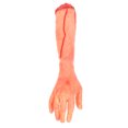 thumbnail image 1 of Broma de Halloween con parte del cuerpo rota falsa y aterradora: parte del cuerpo humano cortada, 1 of 6