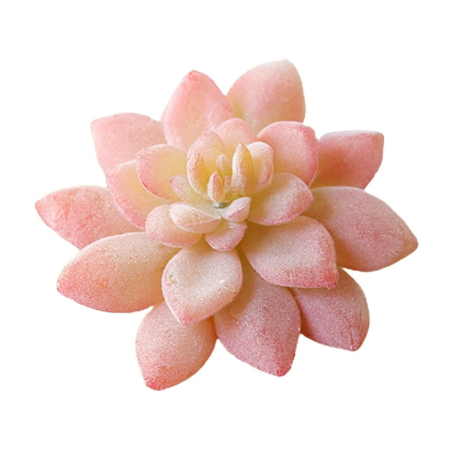 (Pink) Succulent Plant Flower Head Stone Phoenix Lotus Creative DIY Supplies Accessories Flower