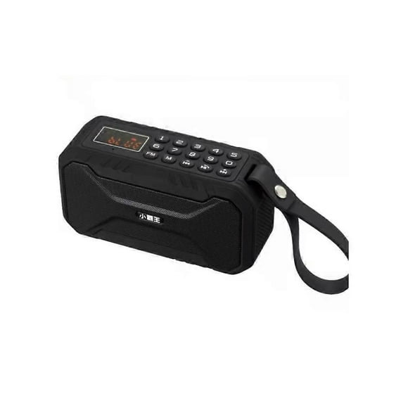 D100 Waterproof Large Volume Radio Outdoor Charging Bluetooth Card USB Stick Old Man Singing Radio Black
