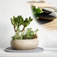 thumbnail image 4 of 2 Platillos para Plantas, Bandeja para Plantas de Secado Rápido, Bandeja Recogedora de Agua para Plantas de de Diatomeas para Interiores y Exteriores, 4 of 5