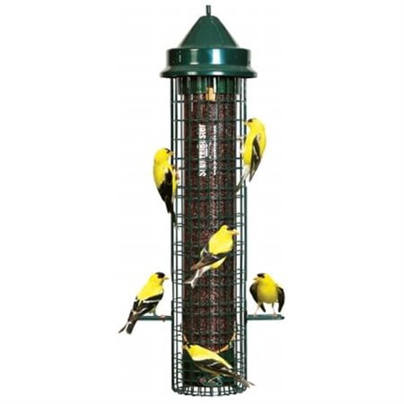 Brome Bird Care Inc Squirrel Buster Finch Bird Feeder 1016