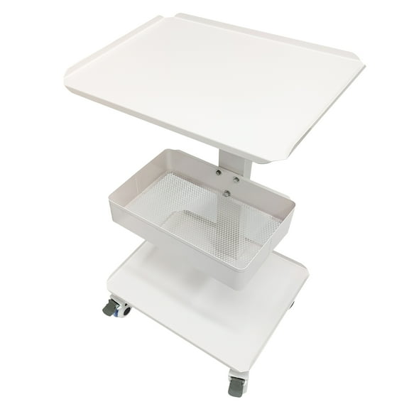 Techtongda Dental Equipment Mobile Steel Cart Mobile Trolley Cart Rolling Utility Cart Trolley Storage Cart 3-layer with Frame