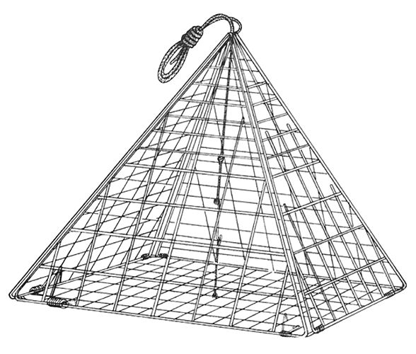 Eagle Claw Star Crab Trap