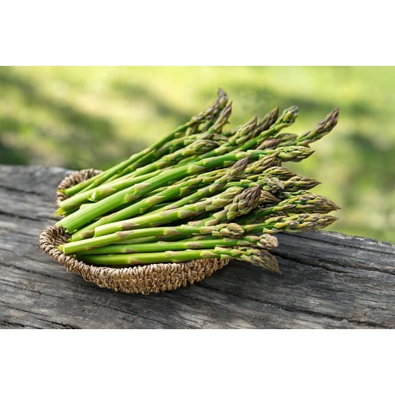 Live Asparagus Bare Root Plants - 2yr Crowns - (10 Crowns) Can Not Ship to California
