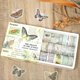 thumbnail image 5 of Juego de Cintas Washi Vintage, 20 Rollos de Cinta Artesanal, Rollo de Cinta Adhesiva Washi Botánica, Mariposa Floral, Cinta Decorativa Grabable, 5 of 5