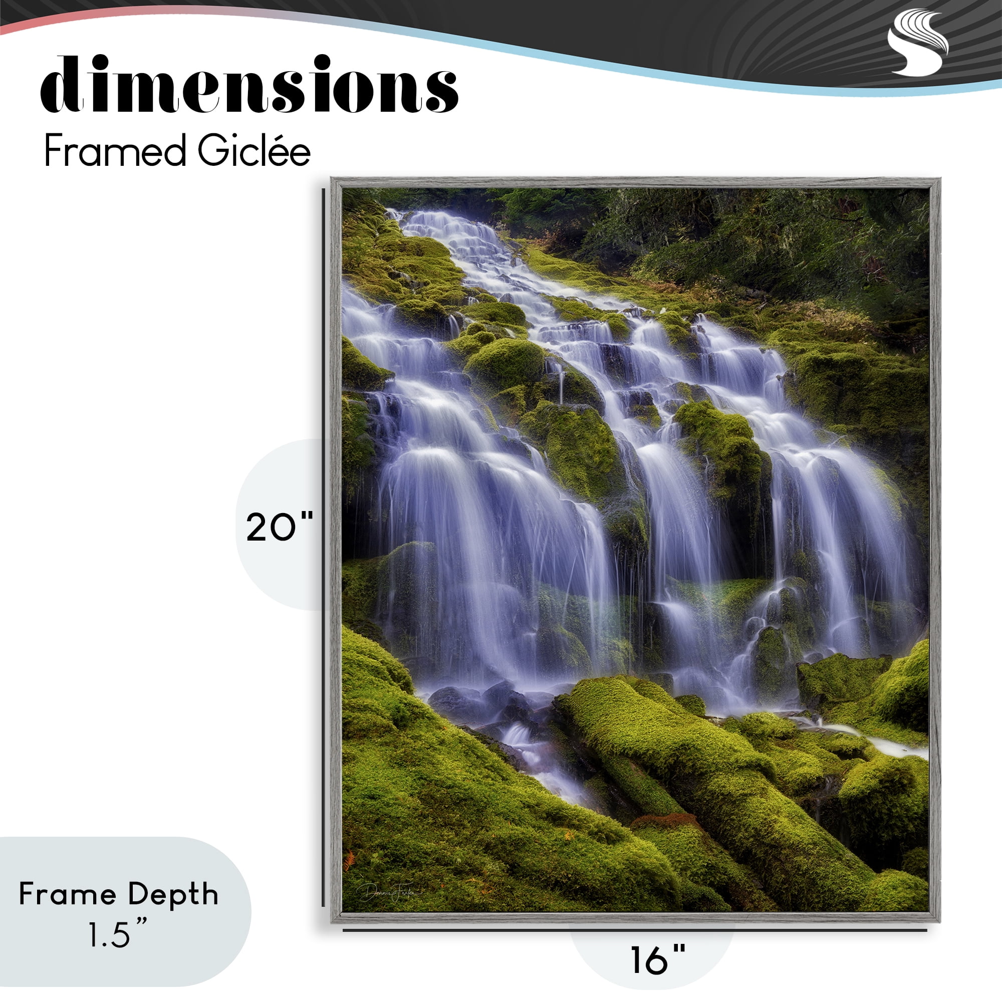 Stupell Industries Upper Proxy Falls Gray Framed Giclee Art, design by Dennis Frates