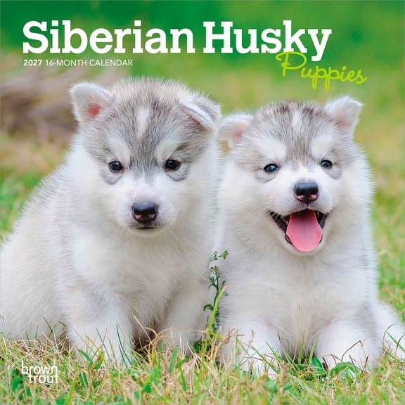 Siberian Husky Puppies | 2027 7x14" (Hanging) Wall Calendar