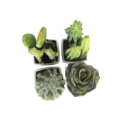 K-Cliffs Artificial Mini Succulent 3 to 5 Cactus in White Ceramic Cube Pot 4pcs Set,Ball Cactus - 2.25 W X 3.25 H X 2.25 D; Fairy Castle Cactus - 2.25 W X 5 H X 2.25 D; Prickly Pear Cactus - 2.2