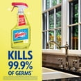 thumbnail image 3 of Windex Multi-Surface, Disinfectant, and All-Purpose Cleaner, Spray Bottle, Citrus Scent, 32 fl oz, 3 of 14