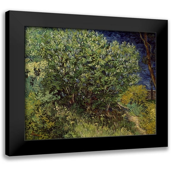 Van Gogh, Vincent 14x12 Black Modern Framed Museum Art Print Titled - Lilac Bush, 1889