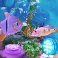 thumbnail image 3 of CNKOO Submersible Pool Light 13 LEDs RGB Underwater Light Remote Control LED Fountain Light Timing Diving Light with Suction Cups for Pond Aquarium，4pcs, 3 of 11