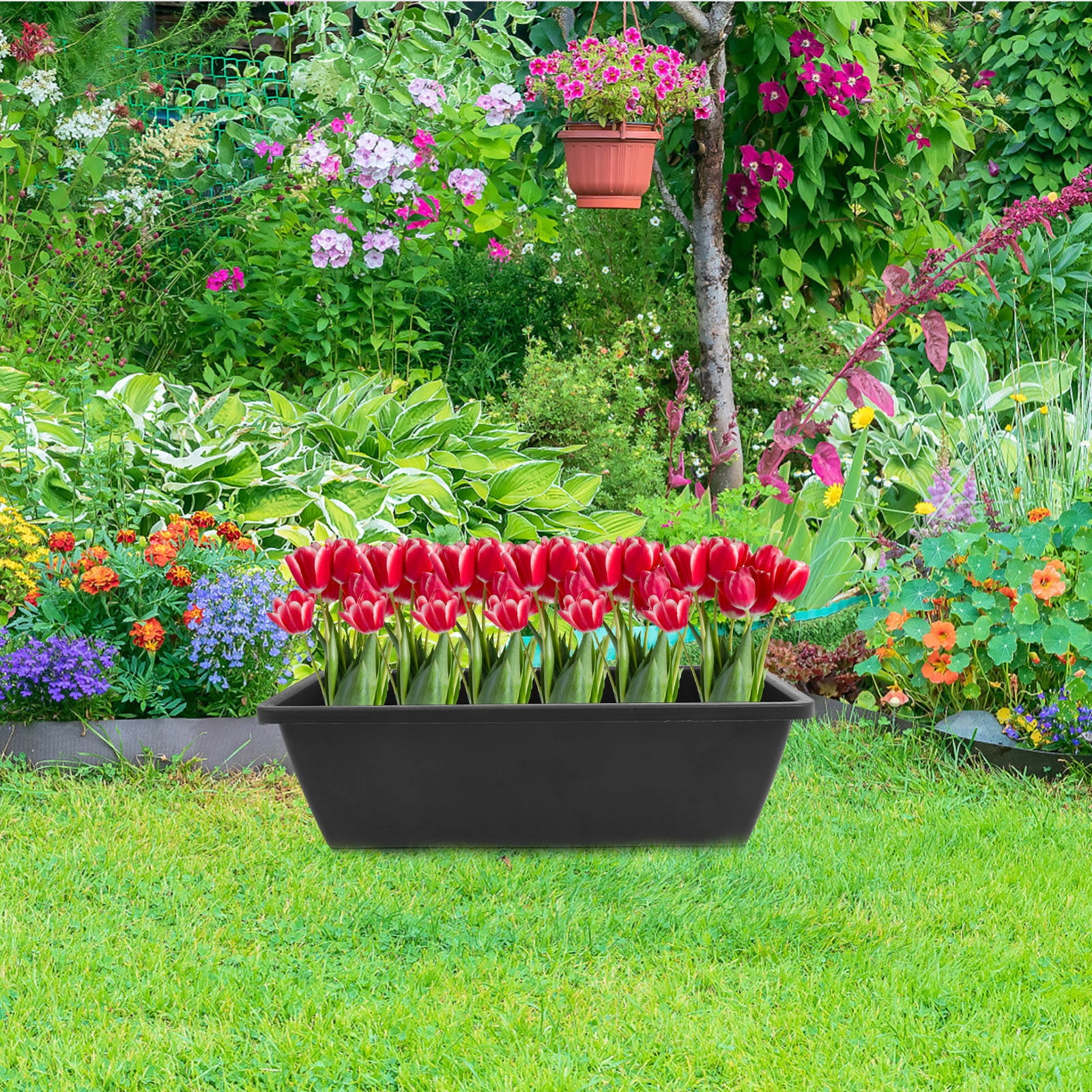 PTOOTP Set of 6 Black Plastic Window Planter Boxes for Indoor and Outdoor Gardening and Decorative Use