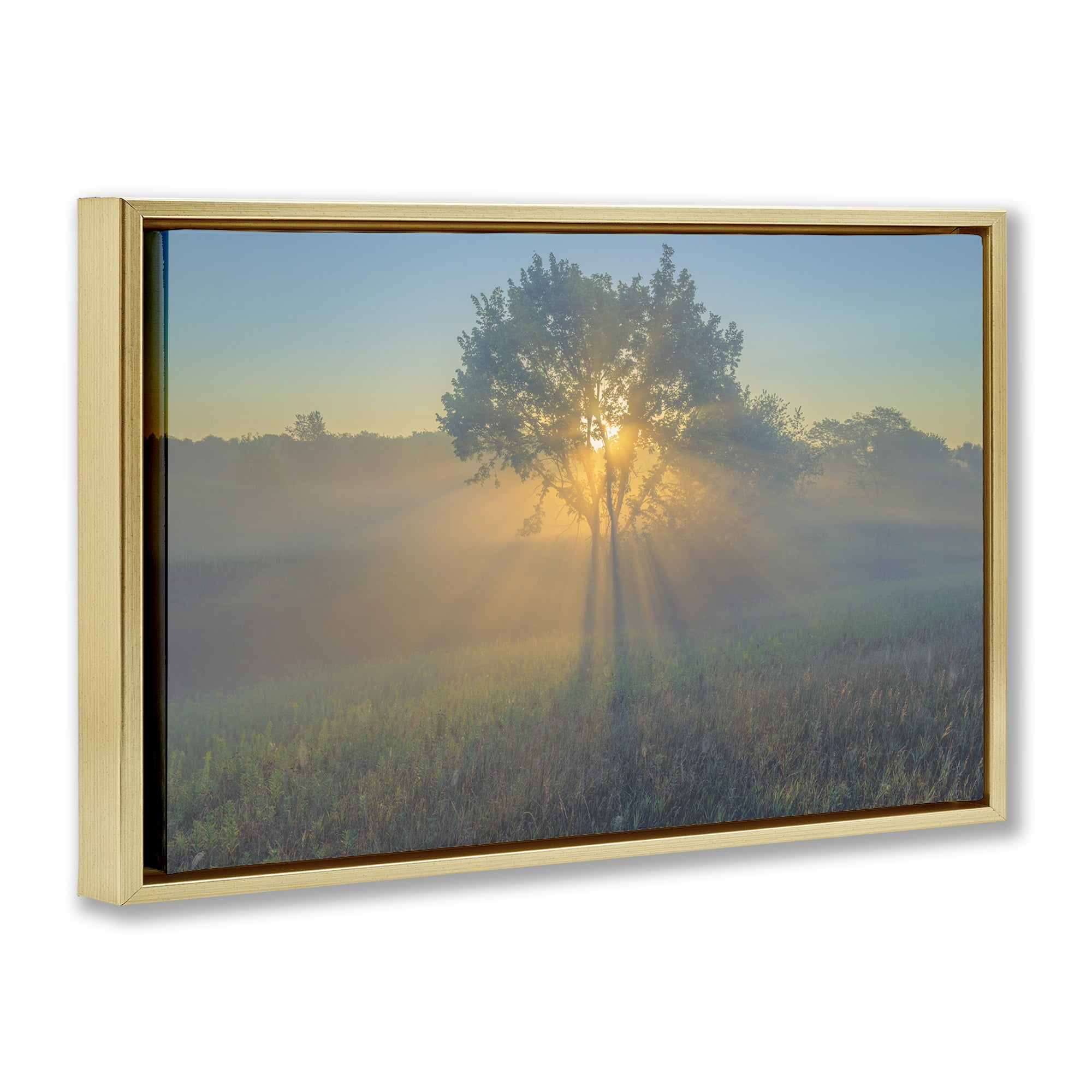 Stupell Industries Bright Sunlit Tree Landscape & Nature Photography Gold Floater Framed Canvas Art Print Wall Art, 25 x 17