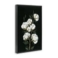thumbnail image 4 of Stupell Industries Vintage Stems of Cotton Plants & Flowers Painting Black Floater Framed Canvas Art Print Wall Art, 17 x 25, 4 of 10