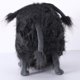thumbnail image 4 of Gru Pet Kyle Hund Plyschdocka Senior Plysch Barnens Dockleksak Födelsedagspresent Prydnad, 4 of 4