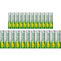 GP 12 Rechargeable AA and 12 Rechargeable AAA Ni-MH Pre-Charged Batteries