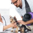 thumbnail image 4 of Portabebés para perros, portabebés ajustable para cachorros, bolso para mascotas, mochila para perros, bolsa de transporte para perros, animales pequeños, 4 of 7