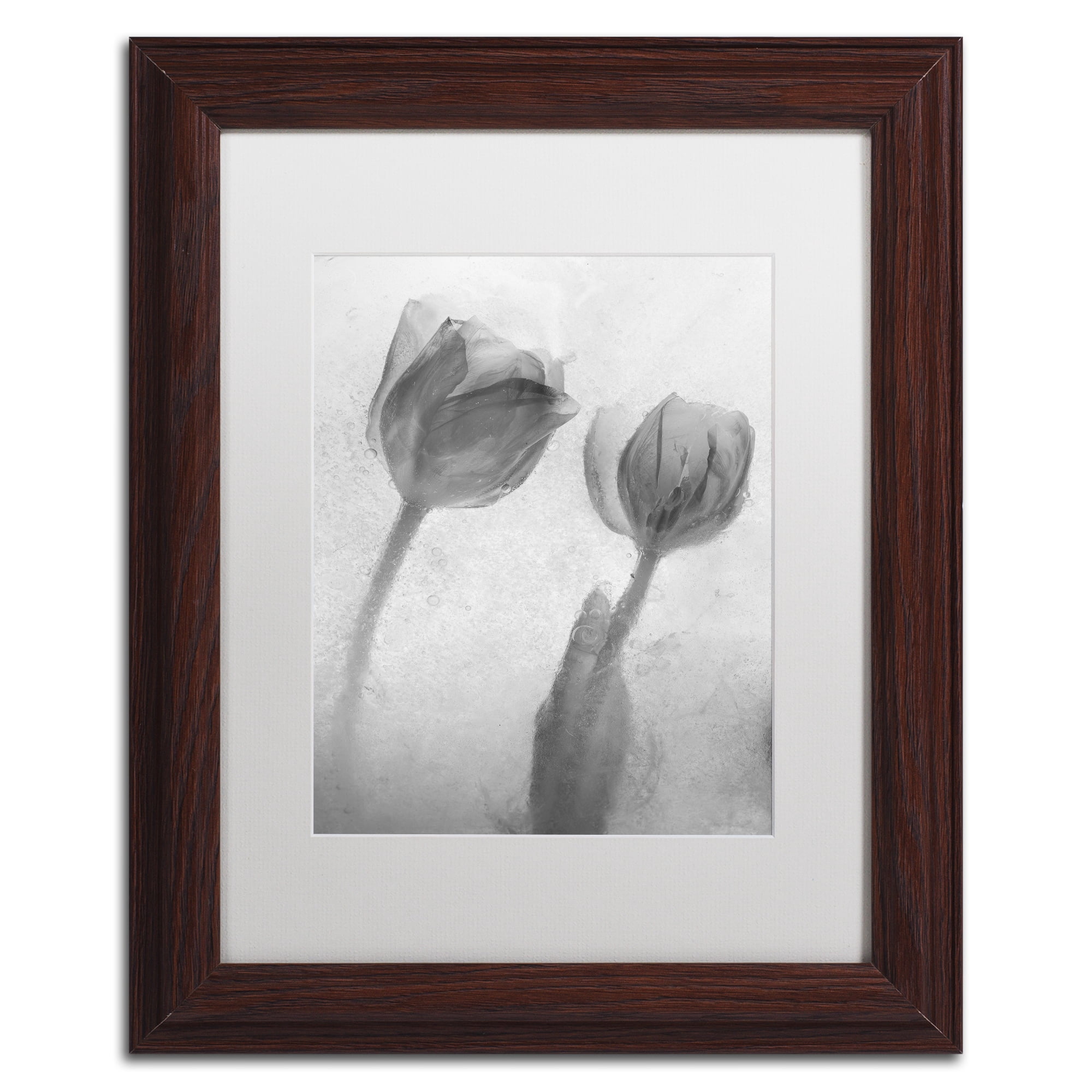 Moises Levy 'Flowers on Ice-1' Matted Framed Art