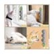 thumbnail image 5 of Catnip Ball Toys for Cats, 8-Pack Edible Kitty Dental Sticks with Silvervine & Gall Fruit, 5 of 5