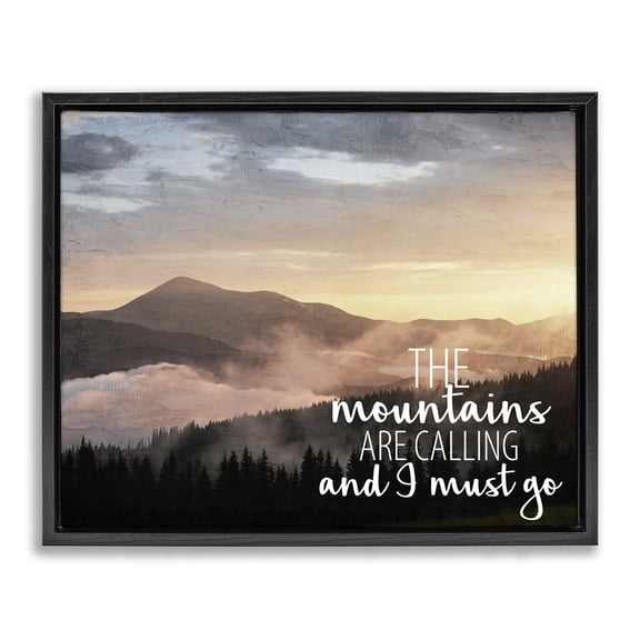 Stupell Industries Coastal Mountains Are Calling Landscape Black Floating Frame Canvas Art, 31 x 25, by Kim Allen
