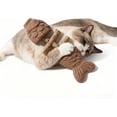 thumbnail image 3 of Natural Fishbone Cat Dental Toy, 7In Cat Chew Toy with Catnip & Natural Silvervine, Healthy Teeth Cleaning Dental Chew for Indoor Cats and All Cat Breeds with Edible Design, 3 of 10