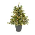 thumbnail image 1 of Árbol de Navidad Vickerman 24" Pino Cashmere con luces LED blancas cálidas, 1 of 3