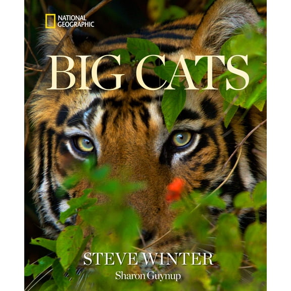Big Cats, (Hardcover)