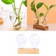 thumbnail image 3 of Florero de escritorio de vidrio de borosilicato Zulema 2 botellas, 3 of 8