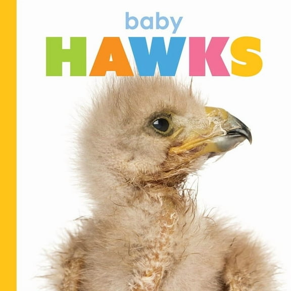 Starting Out Baby Hawks, (Paperback)