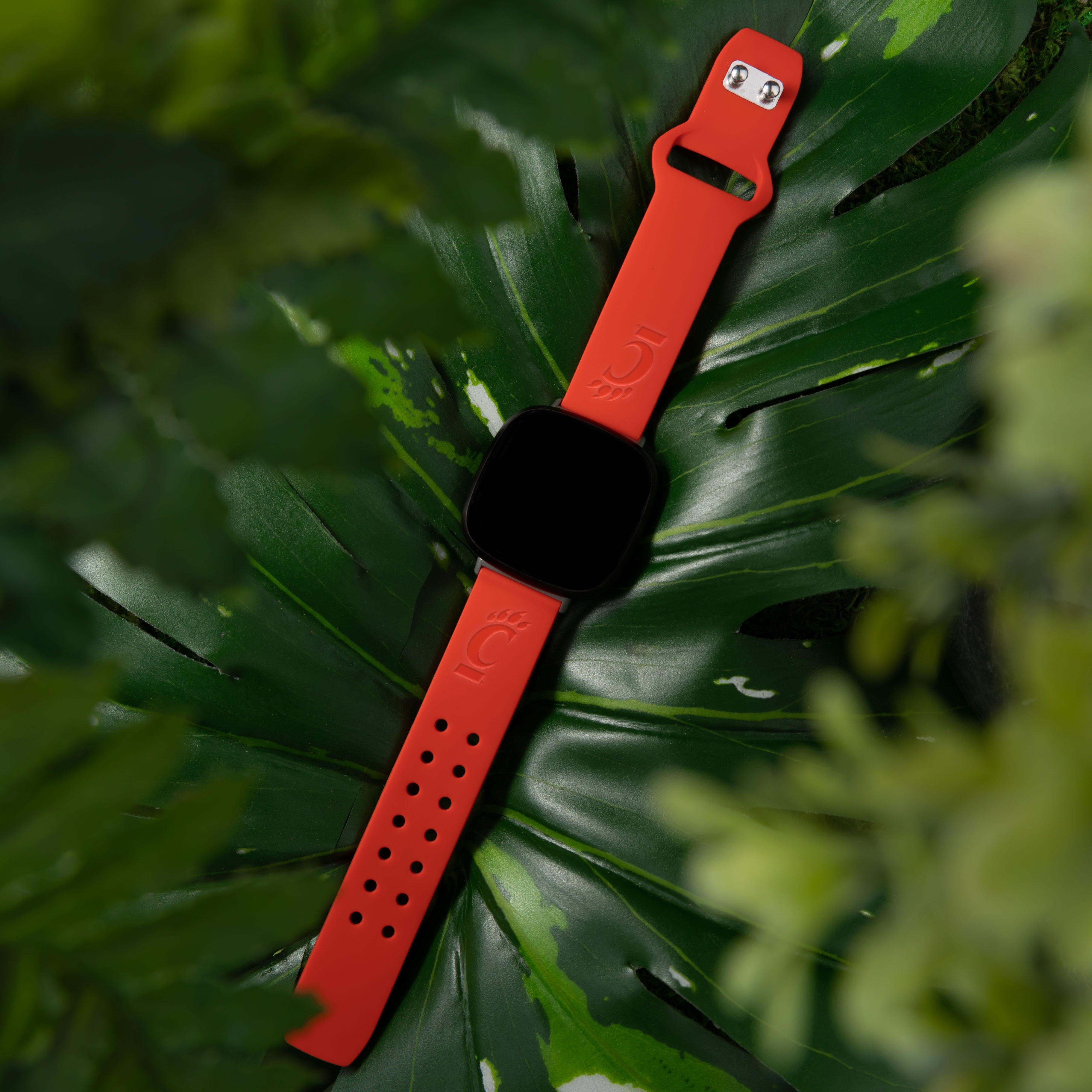 Bearcats Engraved Silicone Unisex Watch Band for Fitbit Versa 3 and Sense (Red) by Affinity Bands