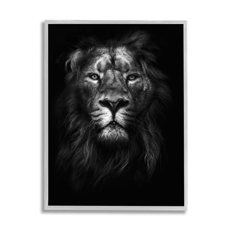 Stupell Industries King of the Jungle Lion In Shadows Black and White Photography 24 x 30 Design by Design Fabrikken