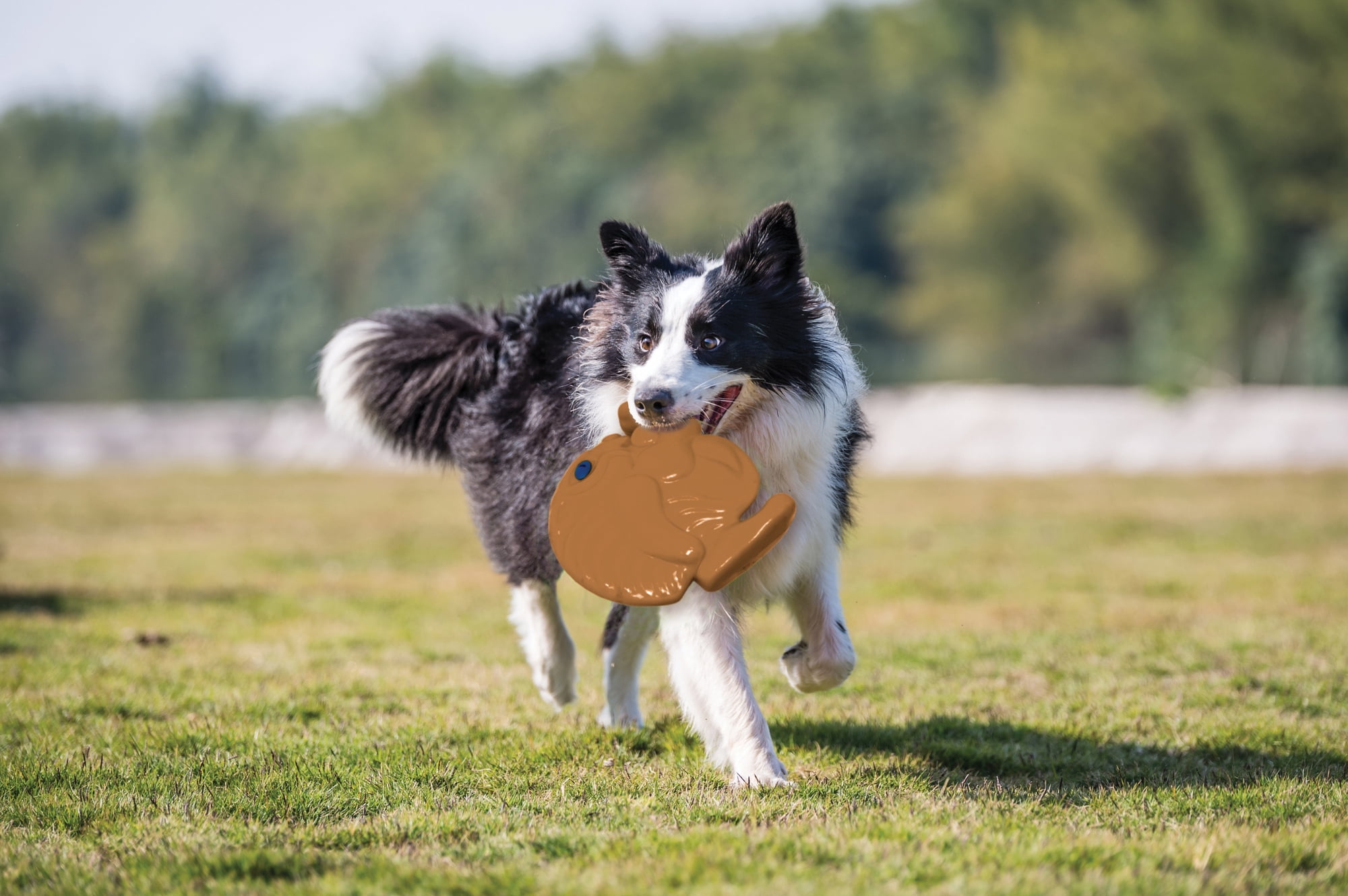 (2 pack) Pets Know Best SquWhirl Dynamic Tumbling Dog Toy - Fun Whistling Disc for Endless Playtime, Brown