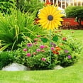 thumbnail image 2 of Garden Stake, Cute Shape Sunflower Windmill  for Courtyards, 2 of 8