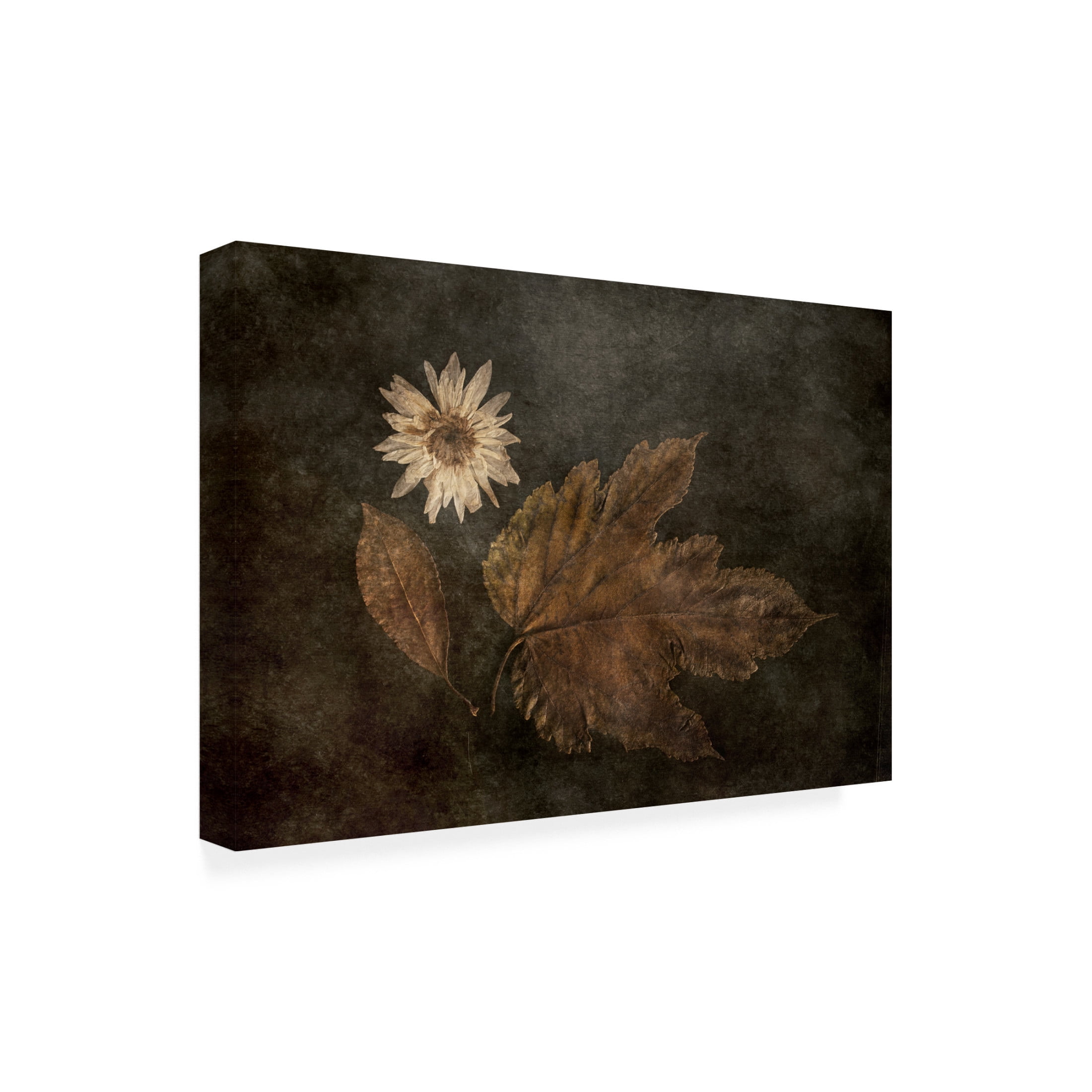 Canvas Wall Art - Gilbert Claes 'The Trio' Wall Art for Living Room, Bedroom, or Office Décor by Trademark Fine Art - 24 x 16 Inches