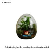 Moss Terrarium Hydroponic Creative Home Decoration Micro Landscape Glass Glass Bottles Succulent Glass Vase 9.5×11CM