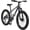 Gray, variant on Ecarpat Fat Tire Mountain Bike for Adults Mens 24 inch, 21Speed Disc Brakes, Disc Brakes