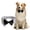 I-L, variant on Pet Supplies Bowtie formal Dog Necktie for Little Puppy Adjustable formal Neck Tie for Medium Large Male Dogs Dog Wedding Valentines Attire Bow Ties 1 Pcs