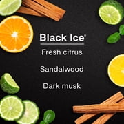 Little Trees Air Freshener Spray Black Ice 3.5 fl oz.