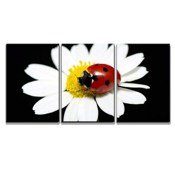 wall26 - 3 Piece Canvas Wall Art - The Ladybug Sits on a Flower Petal - Modern Home Art Stretched and Framed Ready to Hang - 16"x24"x3 Panels