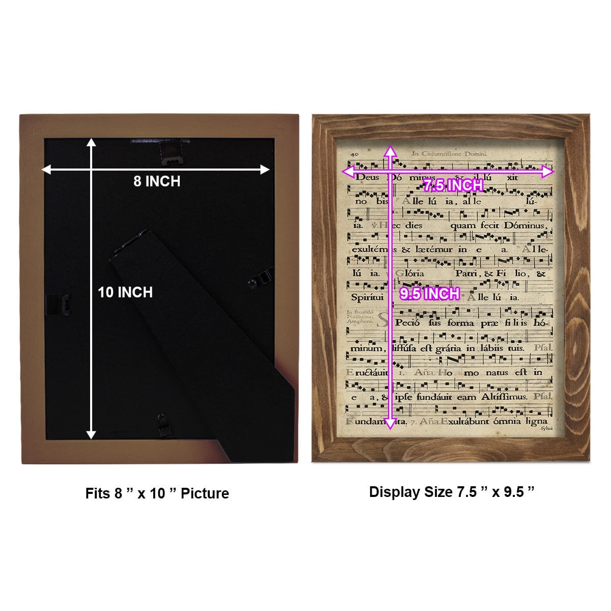 Vellum Songbook II -Framed Print w/glass-Walnut