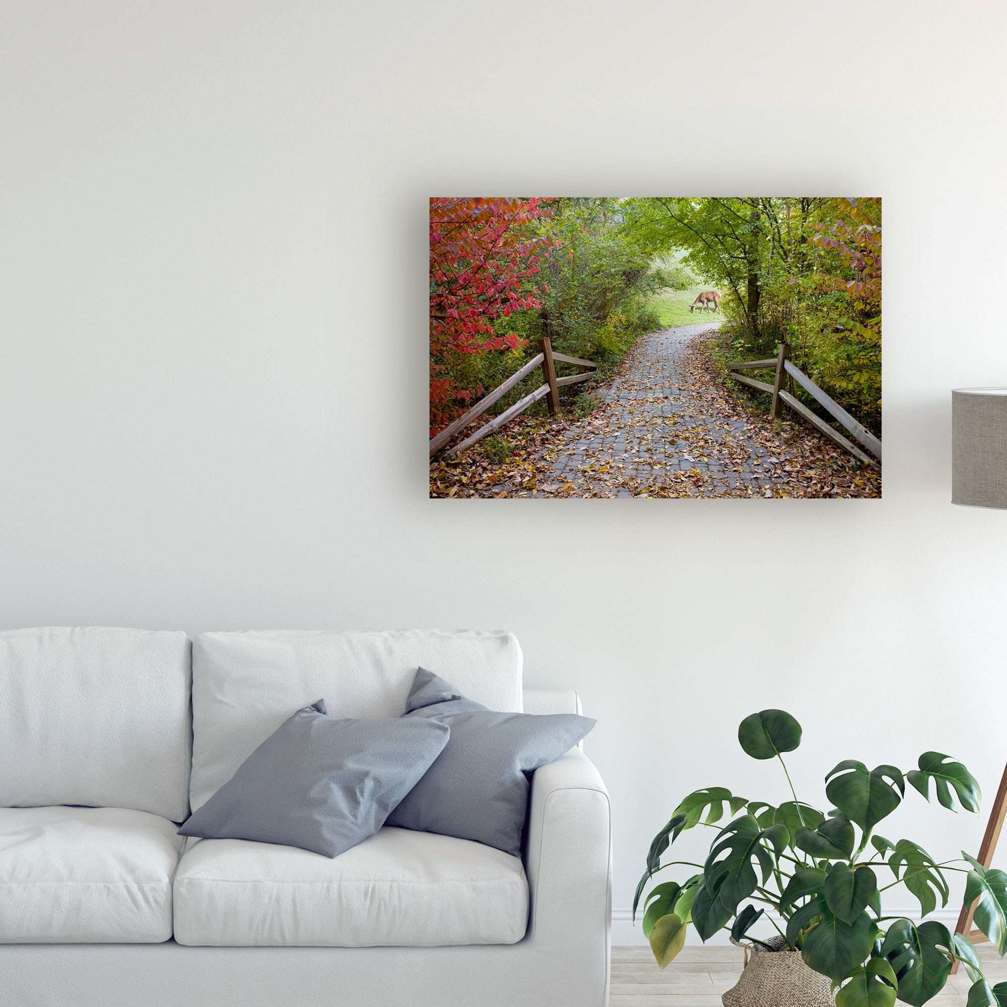 Trademark Fine Art 'Deer In The Woods Farmington Hills Michigan' Canvas Art by Monte Nagler