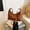 Brown, variant on 2025 New Autumn and Winter Crossbody Bag Fashionable Shoulder Underarm Bag