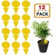 thumbnail image 1 of 12 uds, trampa para insectos, trampa húmeda, pegatina de doble cara, cinta impermeable, atrapamoscas amarilla, áfidos blancos, plantas de jardín Sincero Hogar, 1 of 1