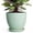 Mint Green, variant on Ordivic 6 inch Mint Green Ceramic Planter with Drainage & Saucer, Round Pot for Baby Tears & Ferns, Kitchen Windowsill Herb Garden Decor, Gift