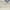Cream/Grey, variant on Nourison Moroccan Casbah Shag Aqua 6'7" x 9'6" Area Rug, (7x10)