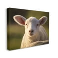 thumbnail image 3 of Stupell Industries Gazing Farm Sheep Photograph Photograph Gallery Wrapped Canvas Print Wall Art, Design by Daphne Polselli, 3 of 7