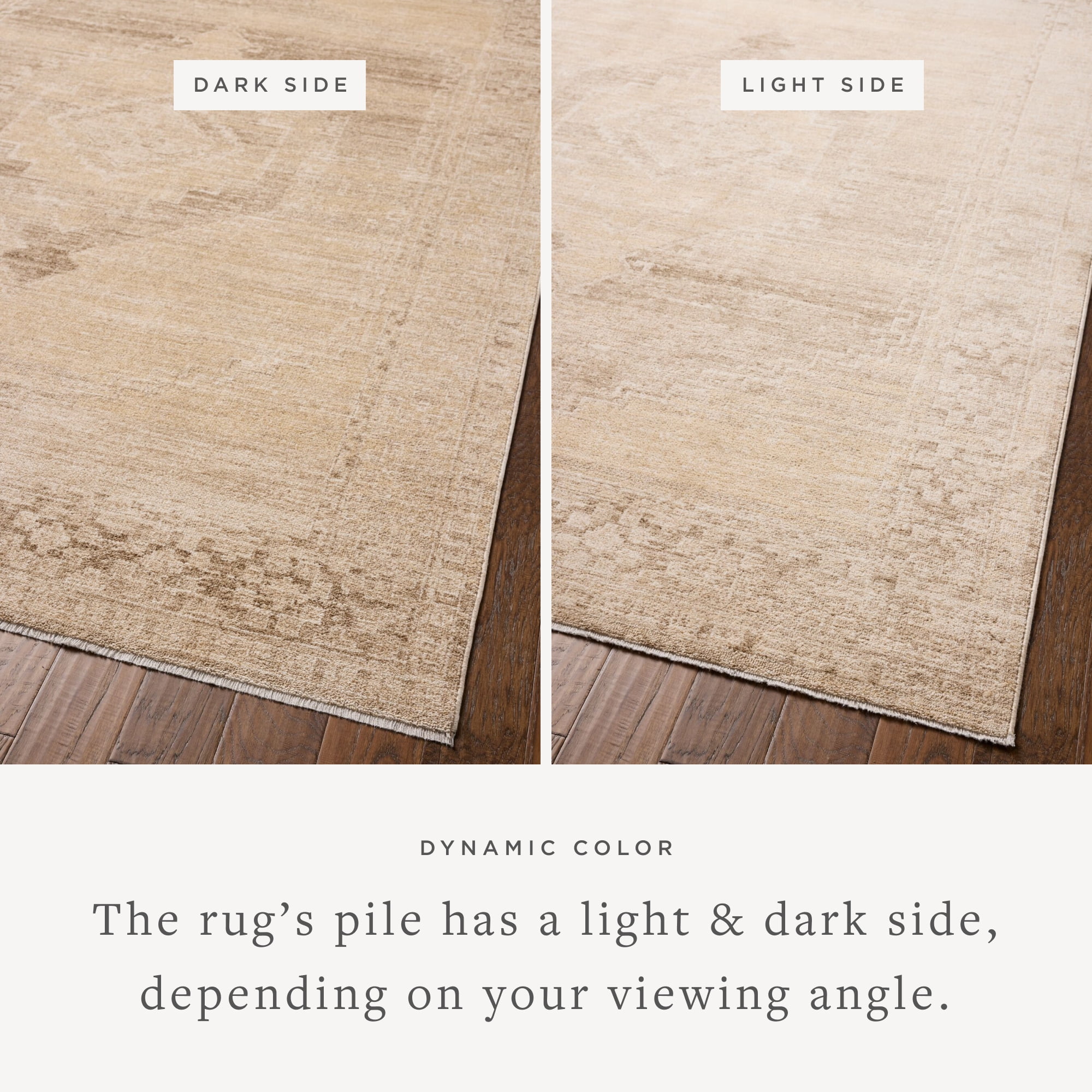 Chris Loves Julia x Loloi Palma Wheat / Taupe 18" x 18" Sample Rug